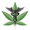 Effect of Medical Marijuana on Employment Law